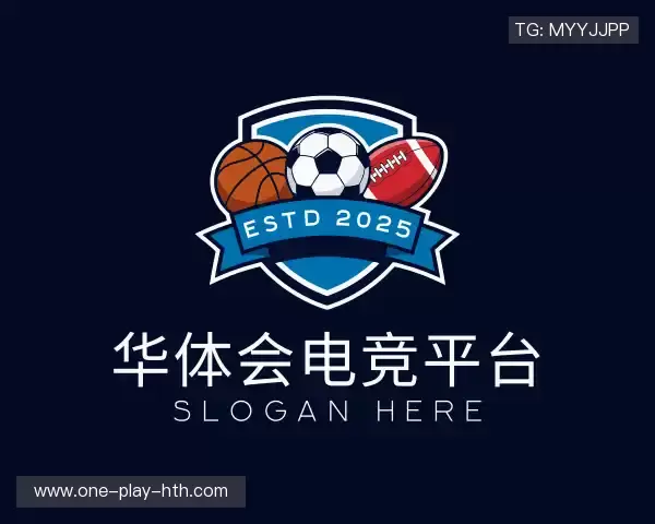 介绍hth华体电竞